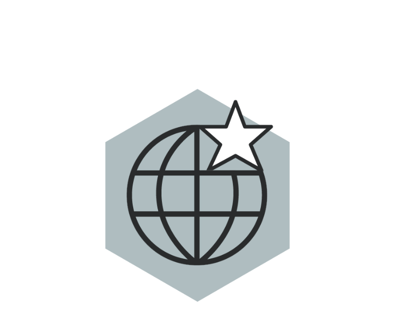 Black cartoon image of a geometric globe with a white star on the top right, set against a gray hexagon