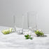 Classic Highball Glass